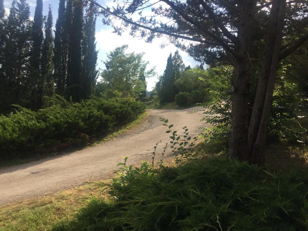 Casale Sant'Elia Panzió Capranica Kültér fotó